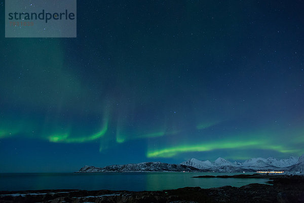Wasserrand  Farbaufnahme  Farbe  Europa  Winter  Strand  Nacht  Beleuchtung  Licht  Küste  grün  Meer  Figur  Norwegen  Polarlicht  Naturerscheinung  Sehenswürdigkeit  Arktis  Skandinavien