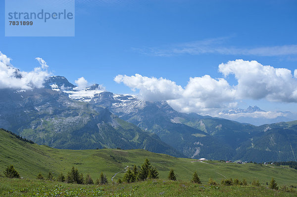 Panorama Landschaftlich schön landschaftlich reizvoll Europa Berg Wolke Wiese Les Diablerets Schweiz
