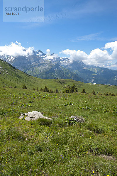 Panorama Landschaftlich schön landschaftlich reizvoll Europa Berg Wiese Les Diablerets Schweiz