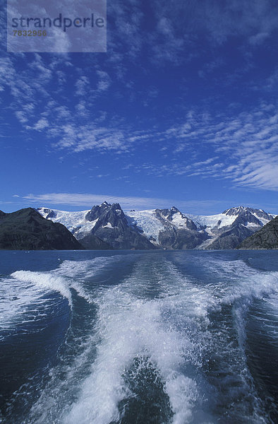Vereinigte Staaten von Amerika  USA  Kälte  Wasser  Berg  Ozean  Tagesausflug  Pazifischer Ozean  Pazifik  Stiller Ozean  Großer Ozean  Fjord  Kenai-Fjords-Nationalpark  Alaska  Pribilof Islands  Schnee  Kielwasser