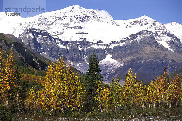 Vereinigte Staaten von Amerika USA Berg Schnee Schneedecke Berggipfel Gipfel Spitze Spitzen Laub Sonnenlicht Wrangell-St.-Elias-Nationalpark Bauernhof Hof Höfe Alaska