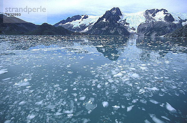Vereinigte Staaten von Amerika  USA  Kälte  Nationalpark  Berg  Spiegelung  Schneedecke  Eis  Gletscher  Kenai-Fjords-Nationalpark  Alaska