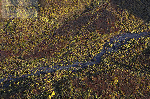 Vereinigte Staaten von Amerika  USA  Nationalpark  Farbaufnahme  Farbe  Berg  Sonnenuntergang  Landschaft  Überfluss  Wald  Landschaftlich schön  landschaftlich reizvoll  Fluss  Herbst  Denali Nationalpark  Fernsehantenne  Alaska