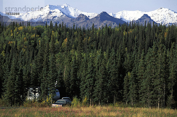 Vereinigte Staaten von Amerika  USA  Farbaufnahme  Farbe  Berg  Wald  camping  Herbst  Sonnenlicht  Alaska  Hain