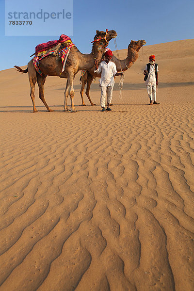 fahren  Wüste  Sand  Düne  Kamel  Asien  Beduine  Indien  Rajasthan  Turban