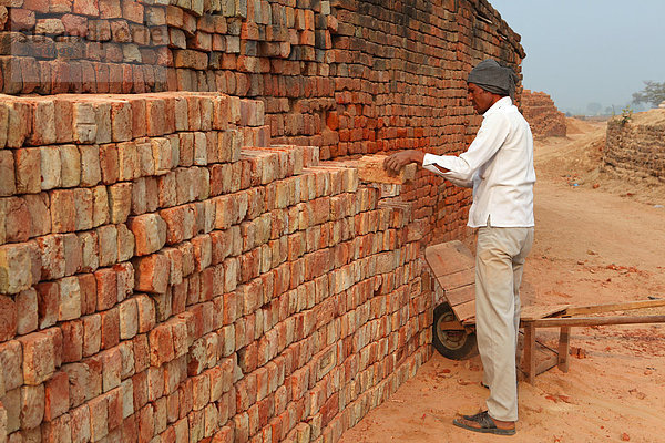 bauen  Tradition  Stapel  Asien  Indien  Rajasthan