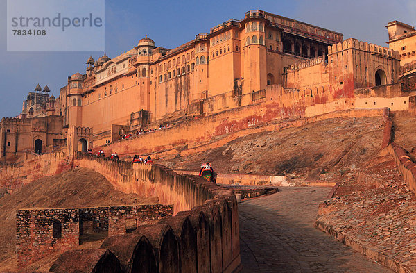 Wand  Attraktivität  Morgen  Sonnenaufgang  Tourist  Festung  Elefant  Asien  Indien  Rajasthan  Weg