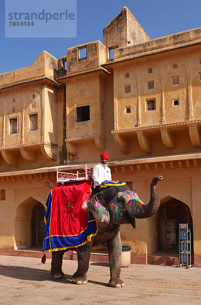 Wand  Attraktivität  Morgen  Sonnenaufgang  Tourist  Festung  Elefant  bemalen  Asien  Indien  Rajasthan  Turban  Weg