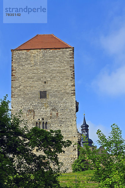 Detail  Details  Ausschnitt  Ausschnitte  Sehenswürdigkeit  bauen  Europa  Wand  Palast  Schloß  Schlösser  Gebäude  Straße  Architektur  Geschichte  Turm  Pflanze  Museum  Deutschland  Sachsen-Anhalt  Tourismus