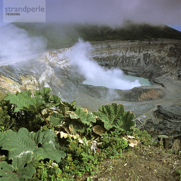 Dampf aus dem Vulkan Poas  Alajuela  Costa Rica