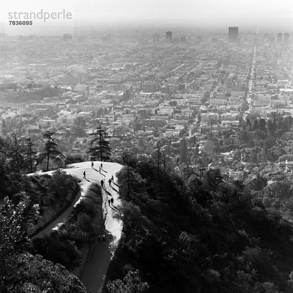 Menschen  die den Waldhügel hinaufgehen mit Blick auf Los Angeles  Kalifornien  USA