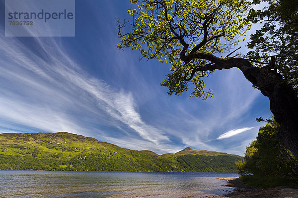 Loch Lomond