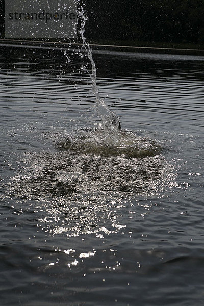 Wasser  das im Sonnenlicht auf einen See spritzt.