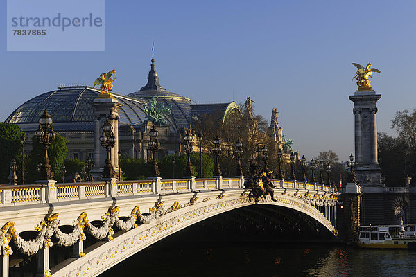 Pont Alexandre III.  Seine  Grand Palais