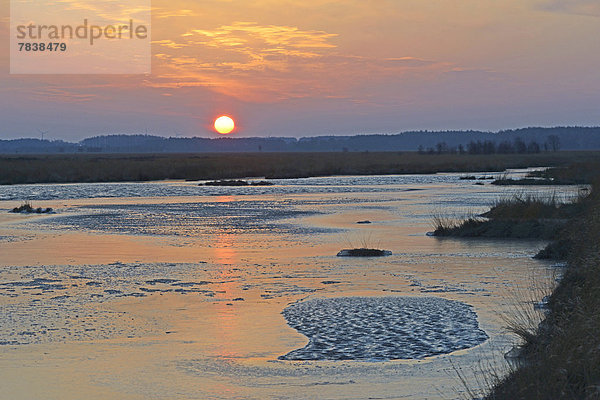 Sonnenaufgang im Moor