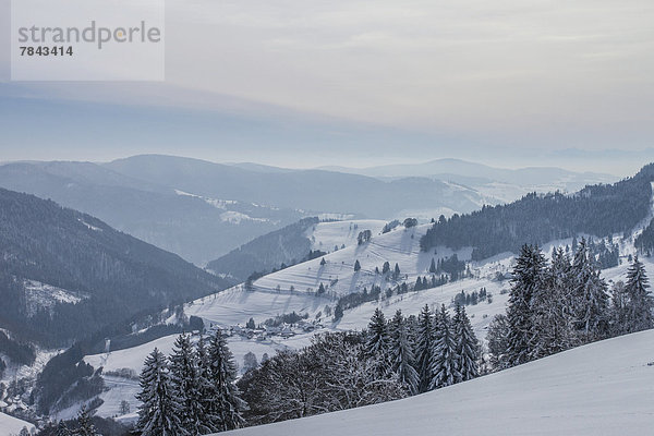 Winterlandschaft