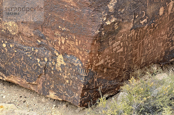 Historische Ritzzeichnungen  800 Jahre alt  Puerco Pueblo