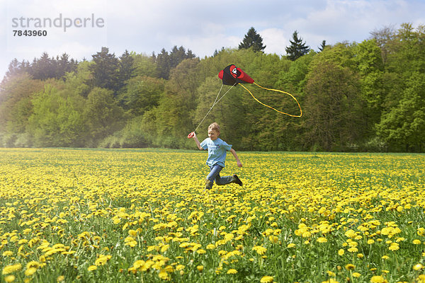 Junge läuft mit Flugdrachen auf Löwenzahnwiese