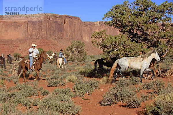 Navajo-Cowboys mit Mustangs