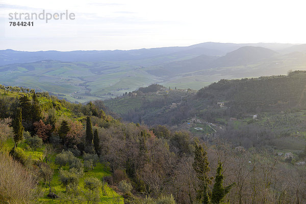 Landschaft  Toskana  Italien  Europa