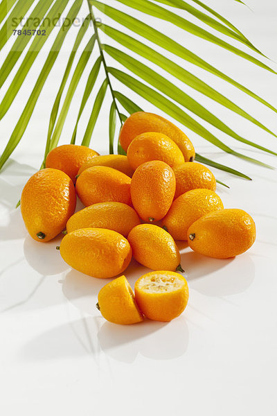 Kumquats und Palmblatt auf weißem Hintergrund  Nahaufnahme