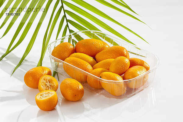 Kunststoffbox mit Kumquats auf weißem Hintergrund  Nahaufnahme