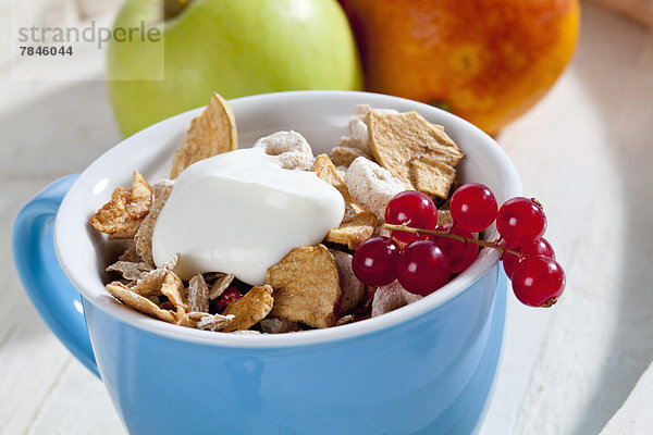 Cup of muesli with yogurt and fruit  close up