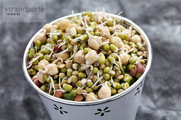 Mixed vegetable sprouts in container on grey background  close up