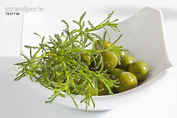 Bowl of olives with olive herb on white background  close up