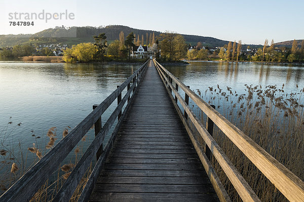 Deutschland  Blick auf die Holzbrücke am Rhein