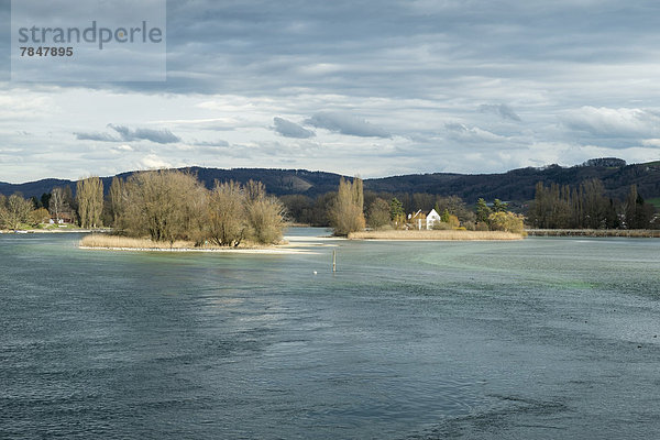Schweiz  Blick auf den Rhein mit den Werdinseln