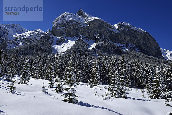Austria  Tyrol  View of Karwendel mountains