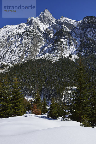 Austria  Tyrol  View of Johannestal with Risser Falk near Karwendel Mountain