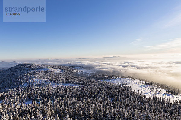 Deutschland  Bayern  Blick vom Gipfel des Großen Arbers auf den Bayerischen Wald