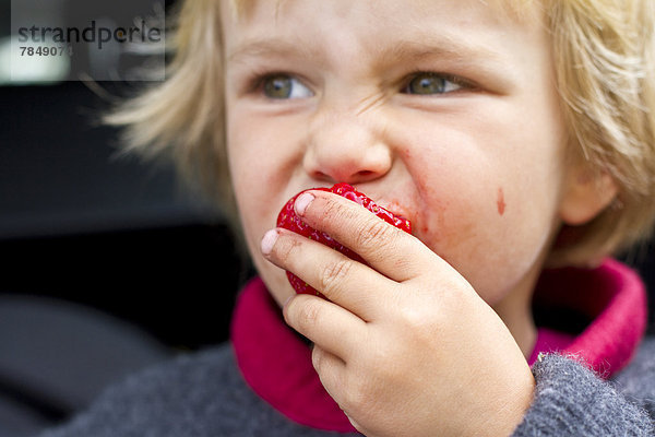 Mädchen essen Erdbeere  Nahaufnahme
