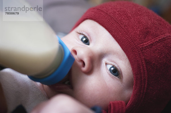 Porträt eines Jungen  der Milch trinkt.