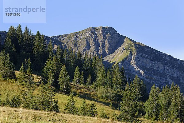 Österreich  Vorarlberg  Blick auf den Wannenkopf im Bregenzerwald