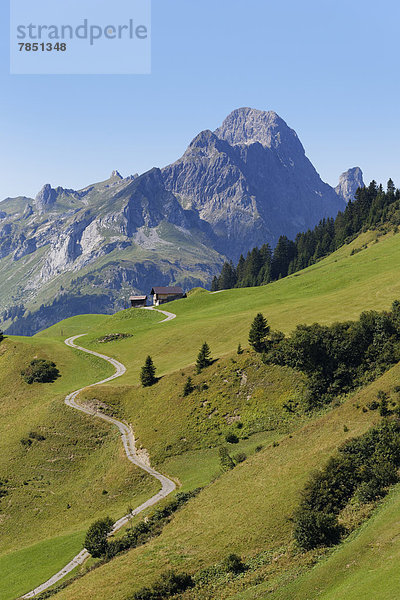 Österreich  Vorarlberg  Blick auf die Hochkunzelspitze im Bregenzerwald
