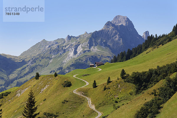 Österreich  Vorarlberg  Blick auf die Hochkunzelspitze im Bregenzerwald