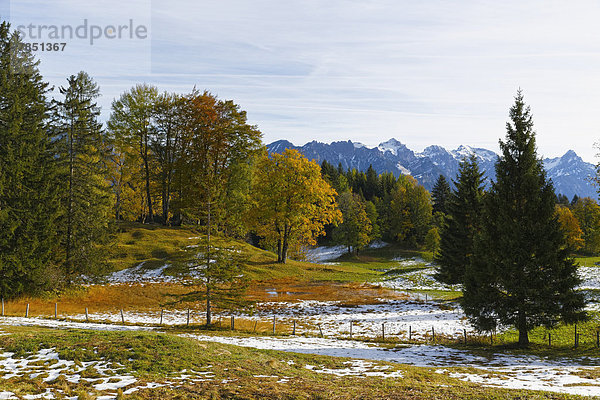 Österreich  Vorarlberg  Blick auf Tschengla am Burserberg