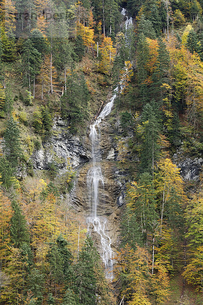 Österreich  Vorarlberg  Wasserfall bei Buchboden im Großen Walsertal