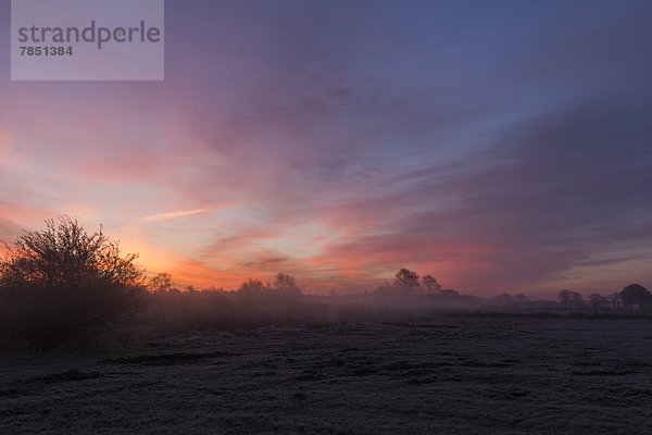 Deutschland  Niedersachsen  Blick auf den Sonnenaufgang