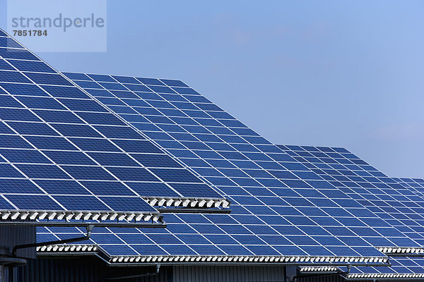 Deutschland  Bayern  Solarmodul im Photovoltaikpark