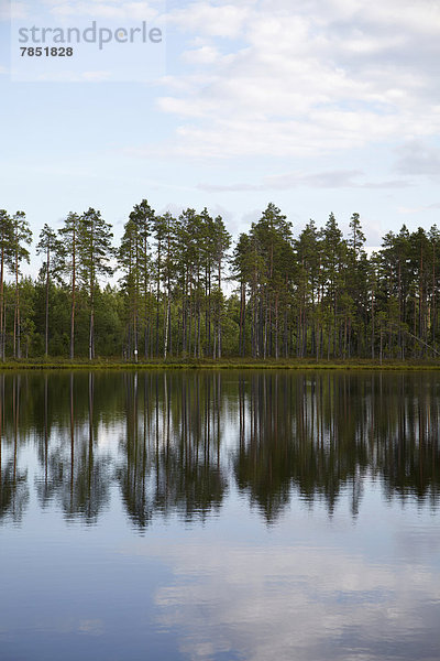 Schweden  Blick auf den See bei Dalarna