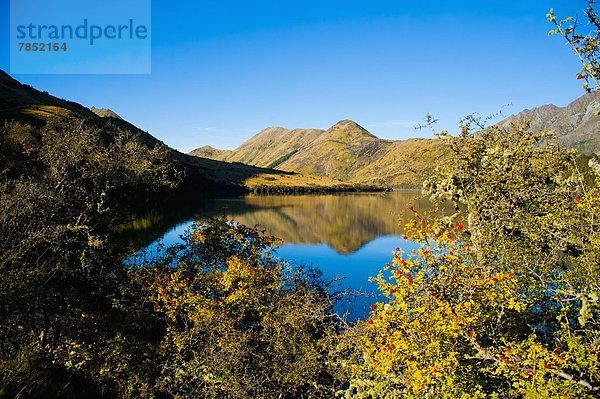 Morgen  Spiegelung  See  früh  Pazifischer Ozean  Pazifik  Stiller Ozean  Großer Ozean  neuseeländische Südinsel  Neuseeland  Otago  Queenstown  Reflections