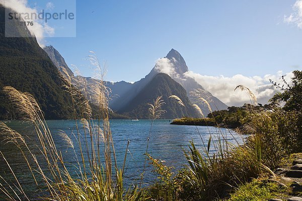 Pazifischer Ozean  Pazifik  Stiller Ozean  Großer Ozean  neuseeländische Südinsel  UNESCO-Welterbe  Fiordland National Park  Milford Sound  Neuseeland