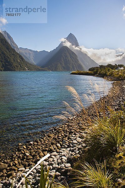 Pazifischer Ozean  Pazifik  Stiller Ozean  Großer Ozean  neuseeländische Südinsel  UNESCO-Welterbe  Fiordland National Park  Milford Sound  Neuseeland