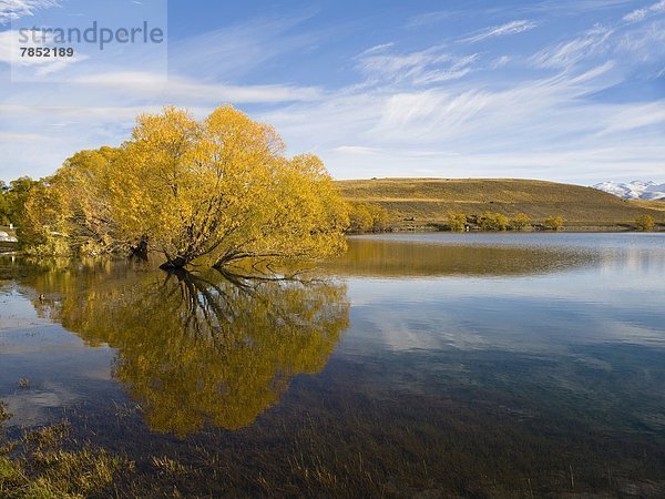 Stilleben  still  stills  Stillleben  Wasser  Morgen  Baum  Spiegelung  Herbst  Pazifischer Ozean  Pazifik  Stiller Ozean  Großer Ozean  neuseeländische Südinsel  Neuseeland