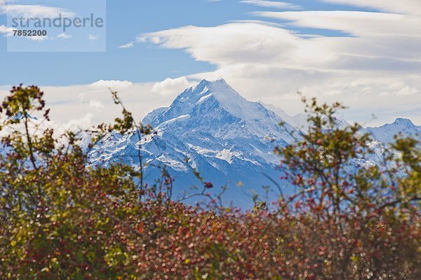 Berg  Pazifischer Ozean  Pazifik  Stiller Ozean  Großer Ozean  neuseeländische Südinsel  UNESCO-Welterbe  Meter  neu  Neuseeland