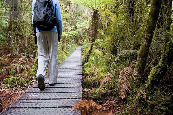 Weg  Wald  Tourist  See  Pazifischer Ozean  Pazifik  Stiller Ozean  Großer Ozean  umgeben  neuseeländische Südinsel  UNESCO-Welterbe  Neuseeland
